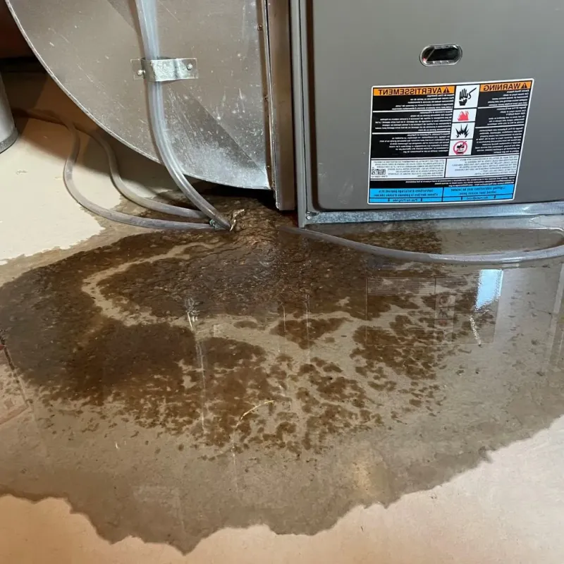 Pipe Burst and Leak Restoration in Carlisle, MA